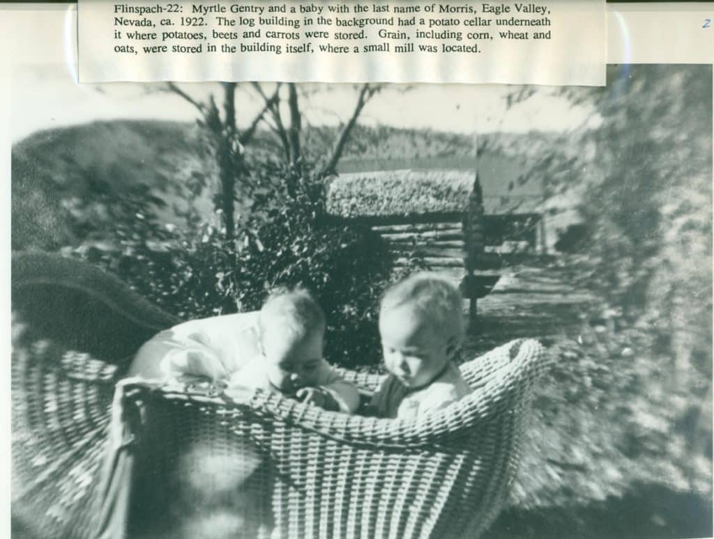 Two babies sit in a wicker basket outdoors, with trees and a log building in the background.