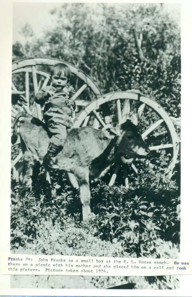 A young boy with flowers in hand sits on a calf, with large wooden wagon wheels behind him.