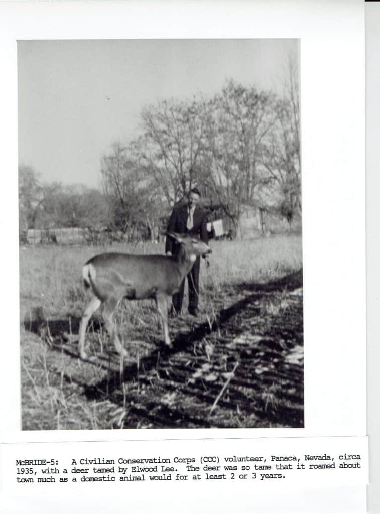 A black and white photo shows a man in a suit petting a deer in a grassy field.