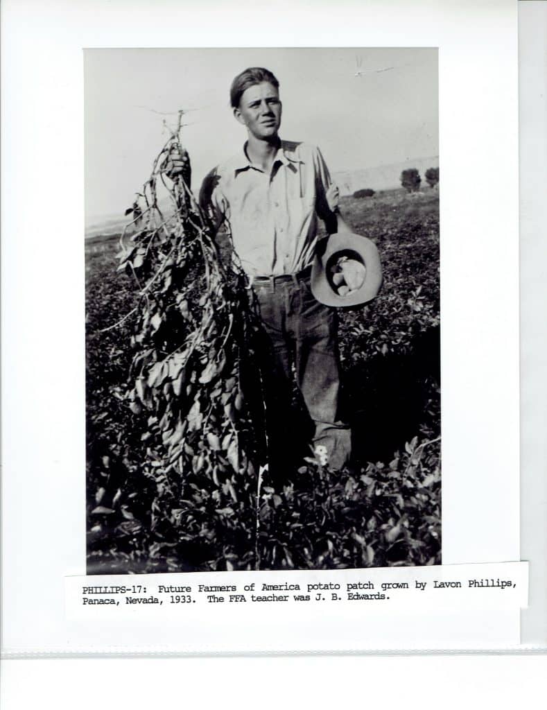 A young man stands in a field, holding a large potato plant and a hat with potatoes.