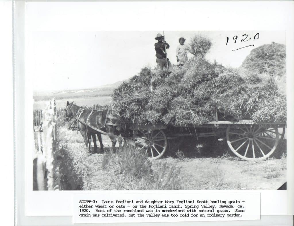 A black and white photo shows a man and child on a hay-filled horse-drawn wagon, with "1920" written.