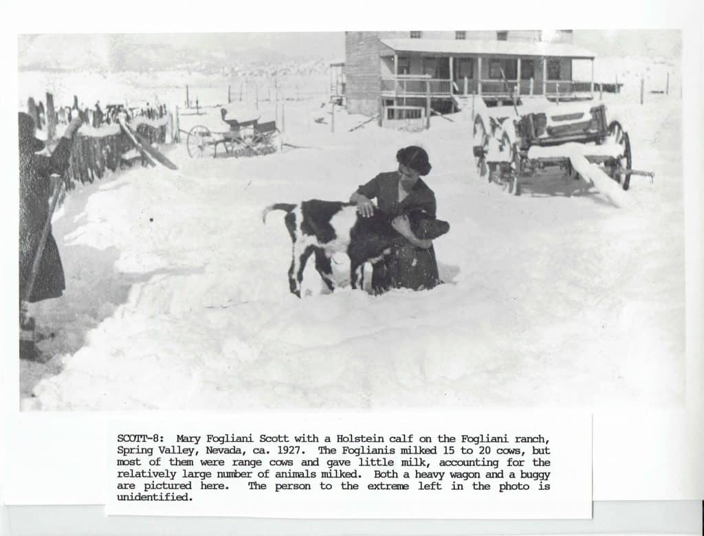 A woman in dark clothing kneels in deep snow, petting a black and white calf, with wagons and a building behind.