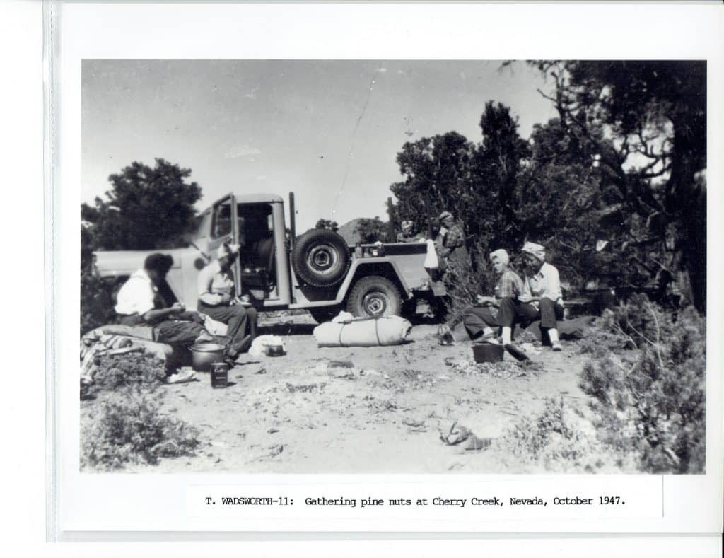 Five people gather pine nuts around an open-door jeep in a desert landscape with sparse trees.