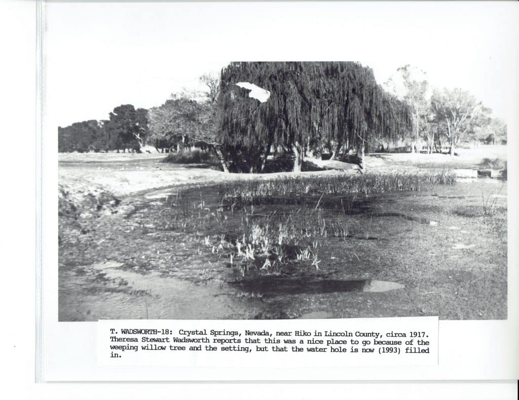 Black and white photo of a pond with tall grasses, surrounded by trees, with text "T. WADSWORTH-18".
