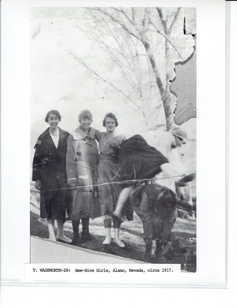 Four young women and a donkey stand under bare trees; one woman sits on the donkey. "T. WADSWORTH-28: Bee-Hive Girls, Alamo, Nevada, circa 1917."