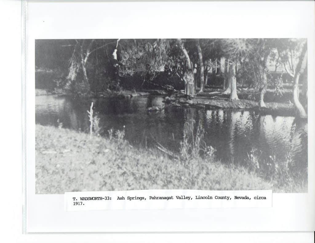 A black and white photo shows a calm pond reflecting trees, with grassy ground in the foreground.