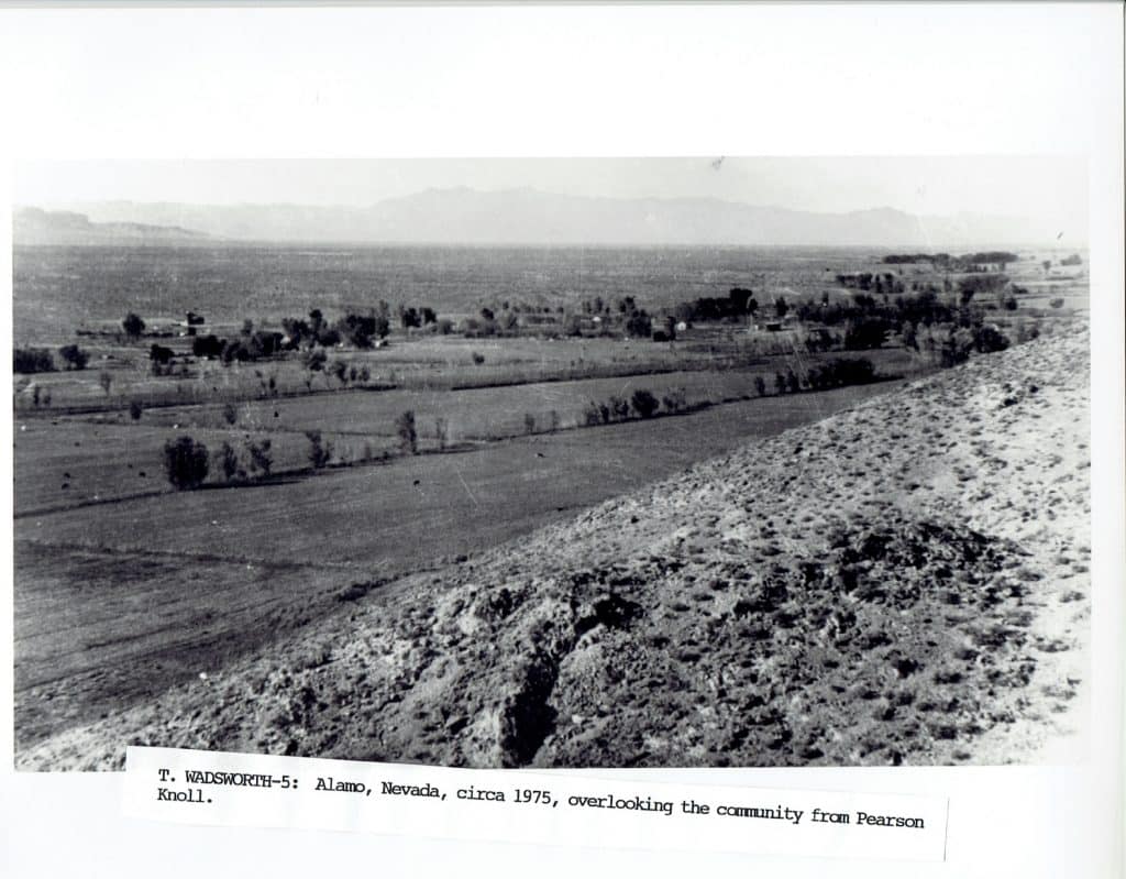 A black and white photo shows a desert landscape with a valley, trees, and distant mountains.